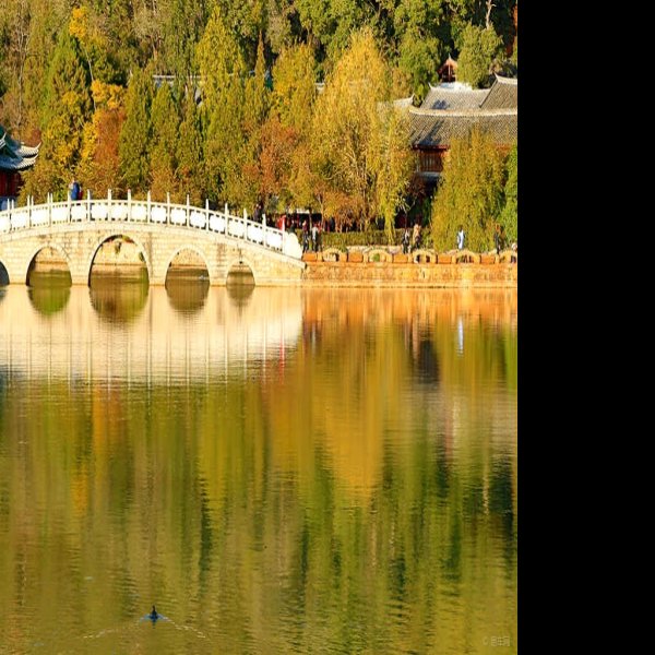 丽江黑龙潭 - 图片4