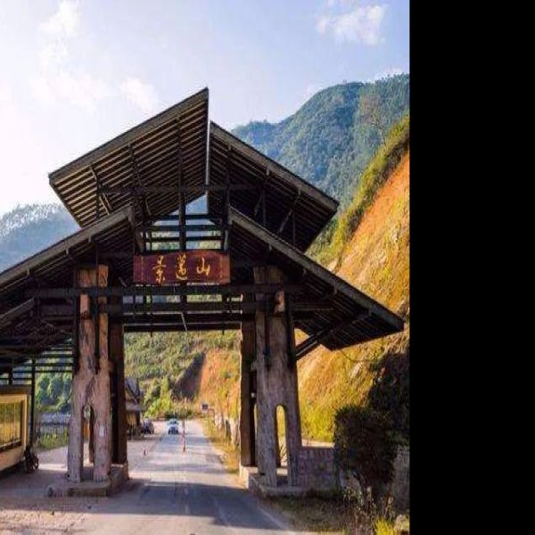 临沧凤庆古茶林 - 图片7