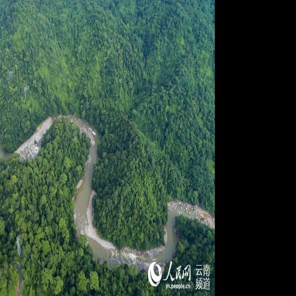 德宏铜壁关自然保护区 - 图片6