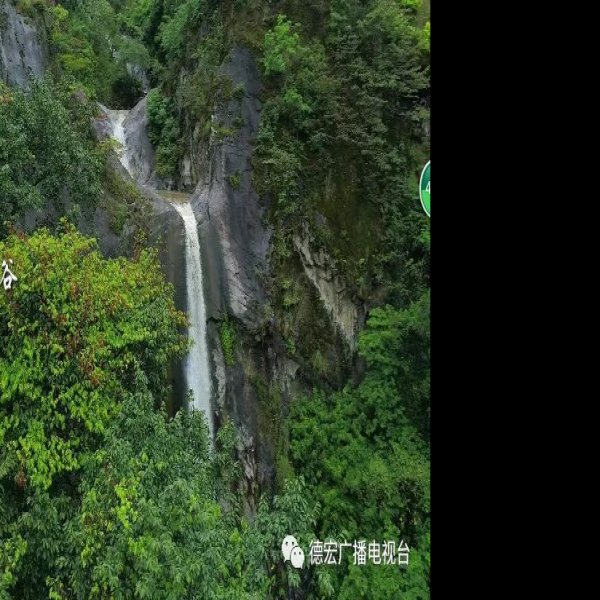 德宏铜壁关自然保护区 - 图片9