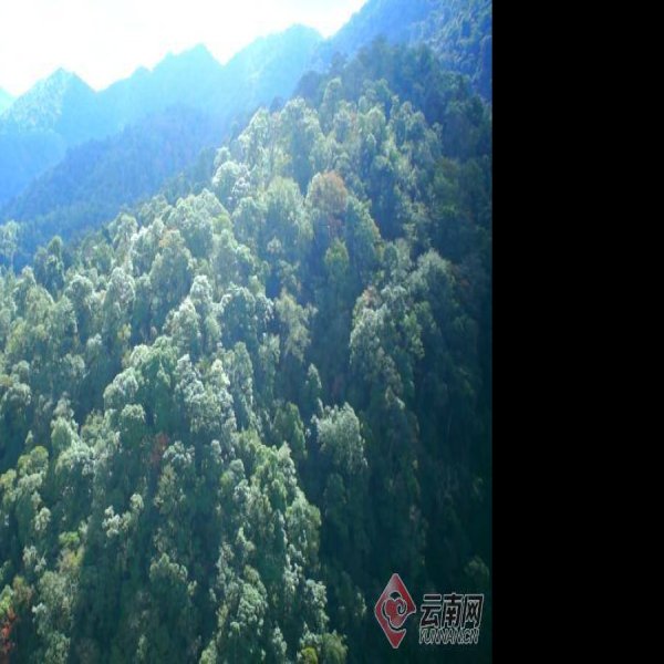 文山老君山 - 图片10