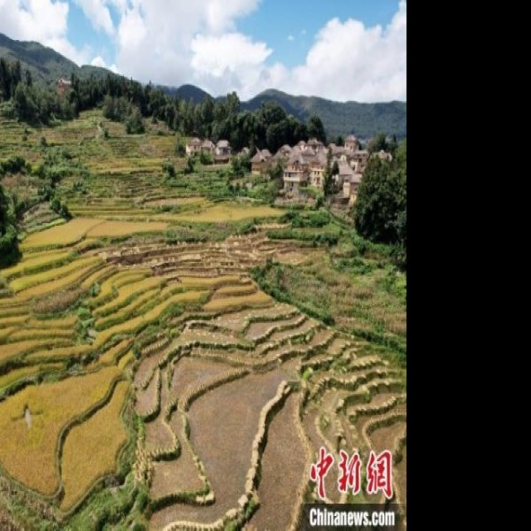 红河哀牢山 - 图片8