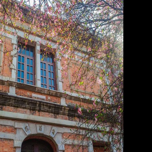 云南大学会泽院 - 图片1