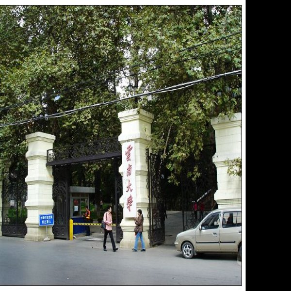 云南大学会泽院 - 图片9