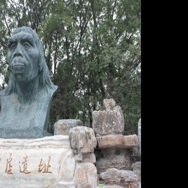 周口店北京人遗址 - 图片5
