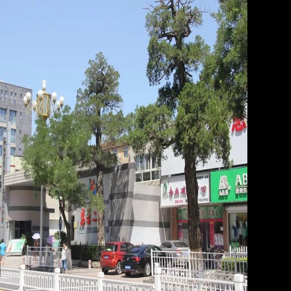 昌平文庙 - 图片4