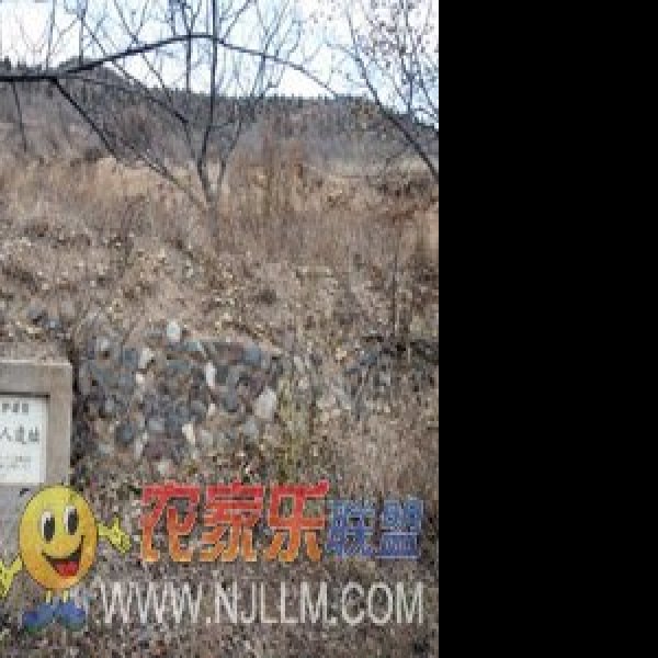 平谷上宅文化遗址 - 图片10