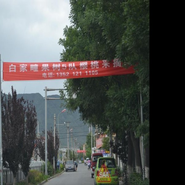 海淀白家疃遗址 - 图片2