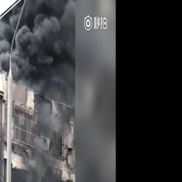 海淀白家疃遗址 - 图片6