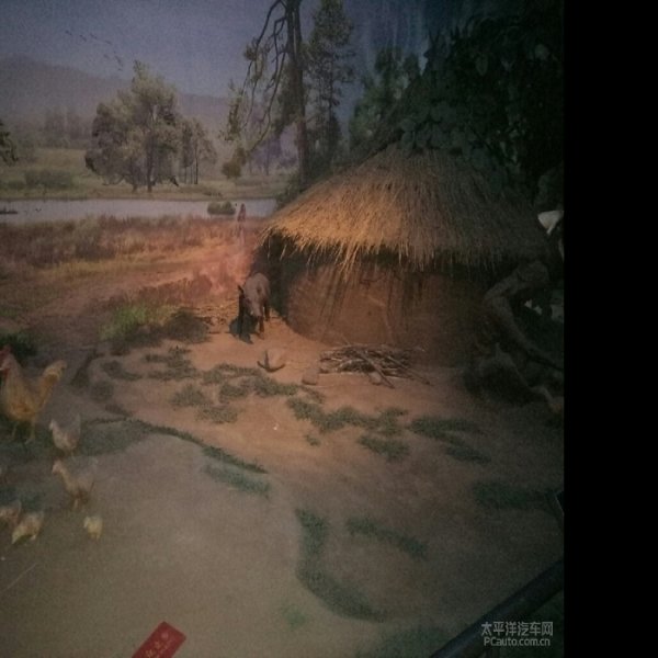 磁山遗址 - 图片9
