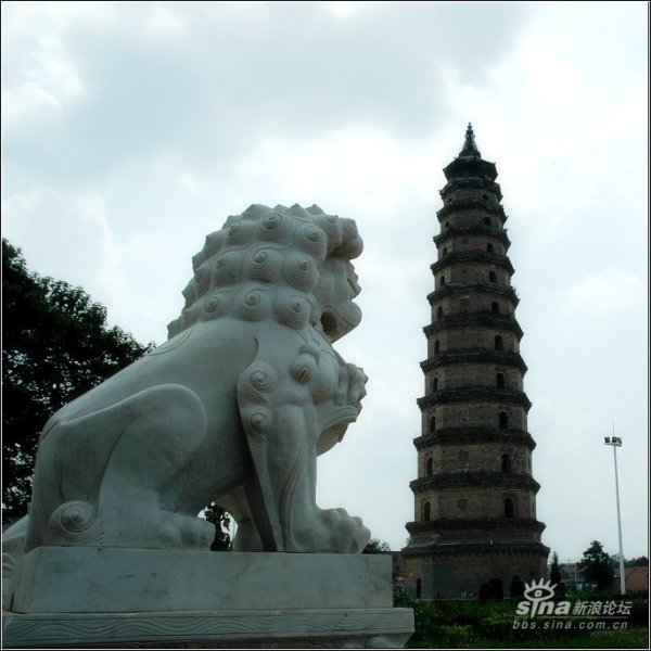 景州塔 - 图片10