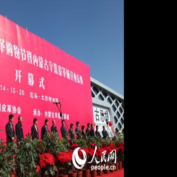 辛集皮革业旧址 - 图片9