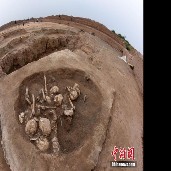 陶寺遗址 - 图片9