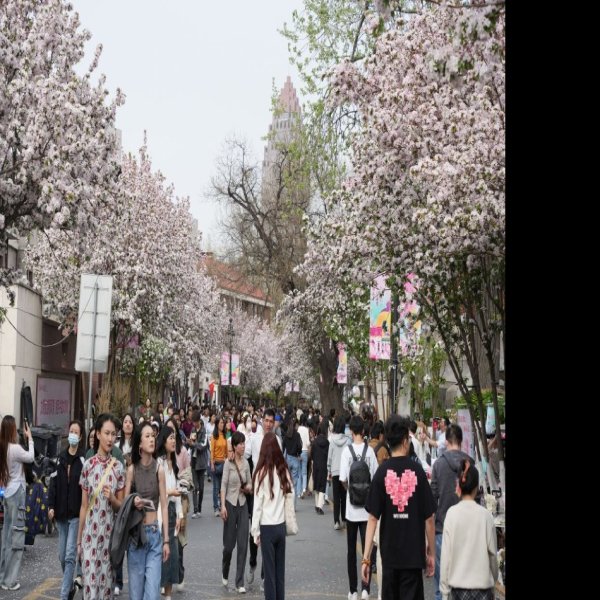 天津五大道文化旅游区 - 图片8