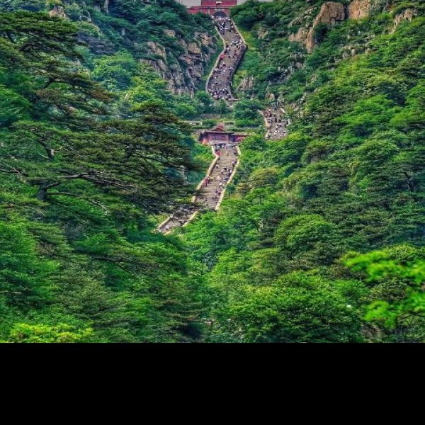山东泰山风景区 - 图片5