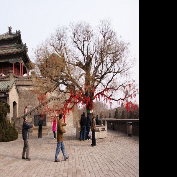 邯郸丛台 - 图片9