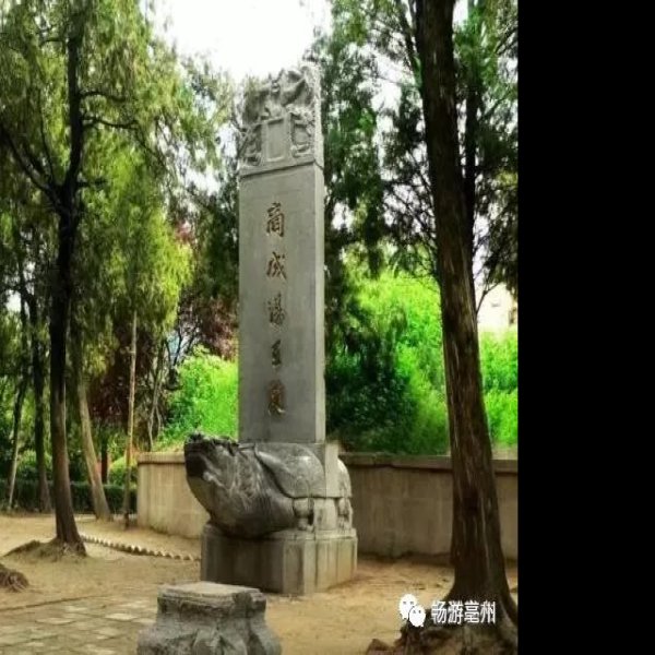 尉迟寺遗址 - 图片2