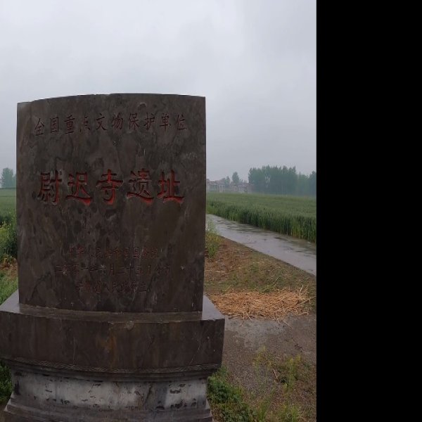 尉迟寺遗址 - 图片5