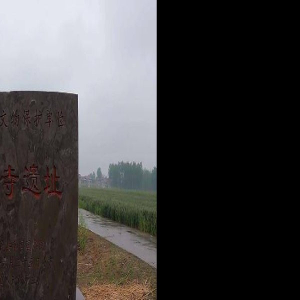 尉迟寺遗址 - 图片7
