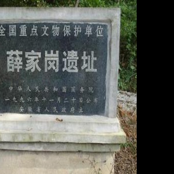 薛家岗遗址 - 图片2