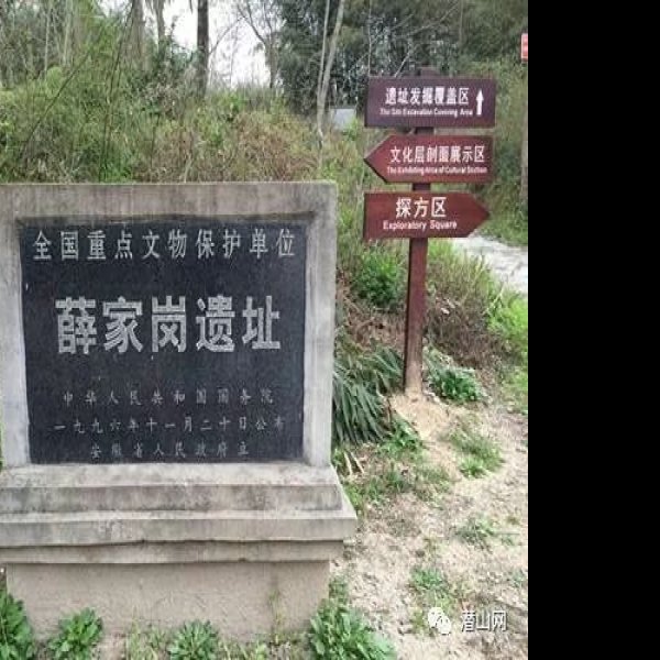 薛家岗遗址 - 图片4