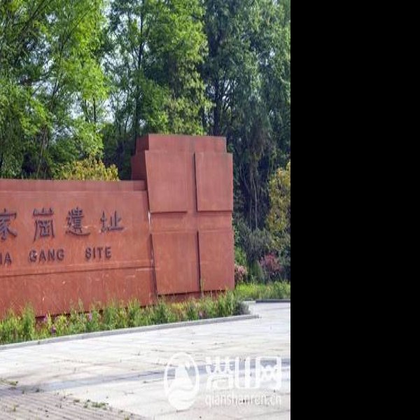 薛家岗遗址 - 图片9