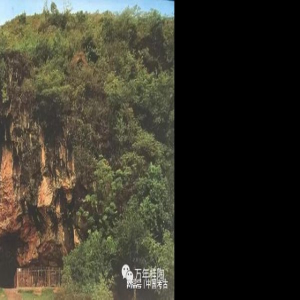 仙人洞吊桶环遗址 - 图片4