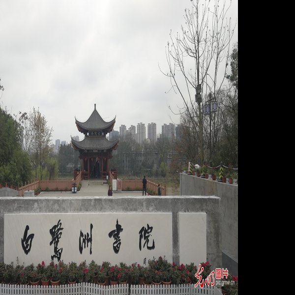 白鹭洲书院 - 图片6