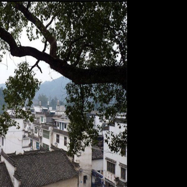 婺源晓起 - 图片8