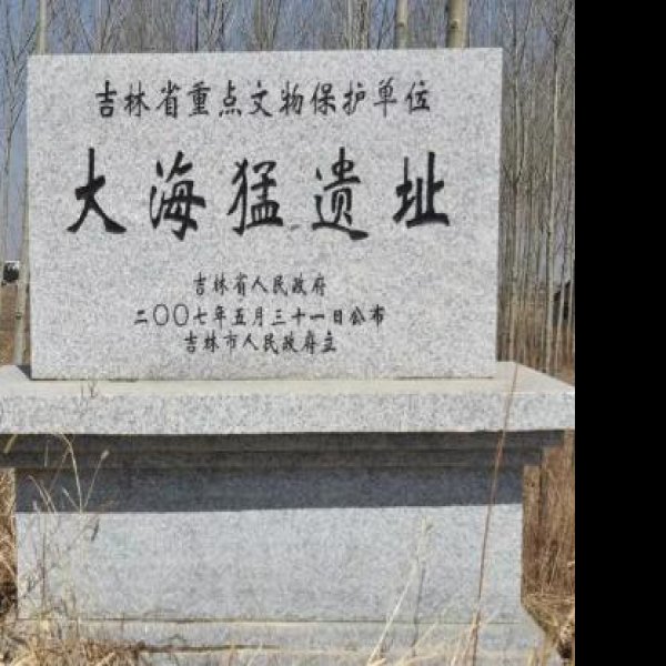 大海猛遗址 - 图片1