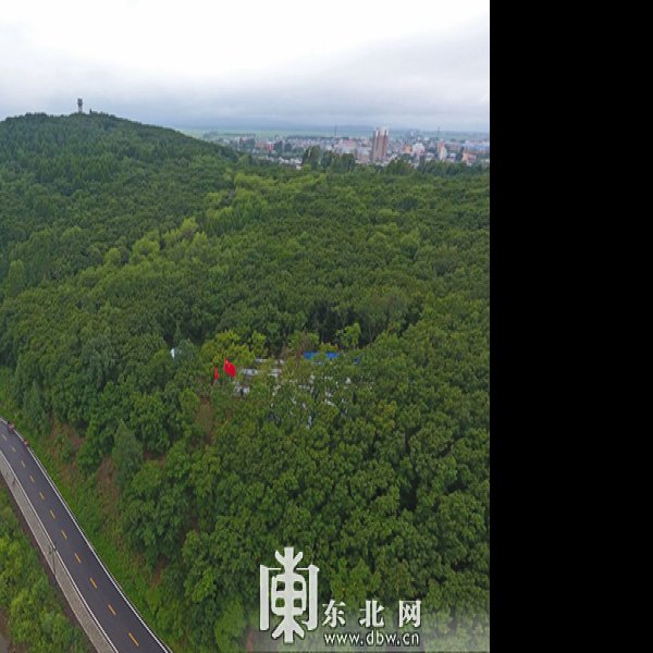 小南山遗址 - 图片7