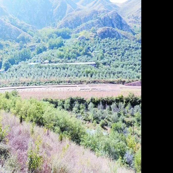锅盔山山城遗址 - 图片6