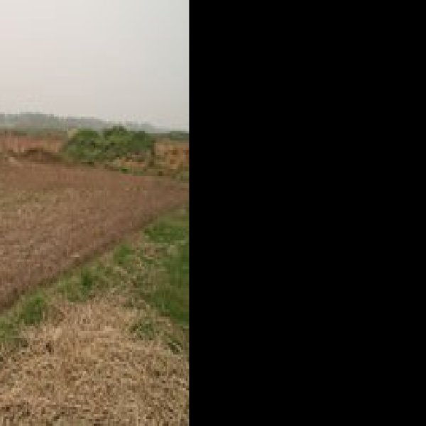 顺山集遗址 - 图片5