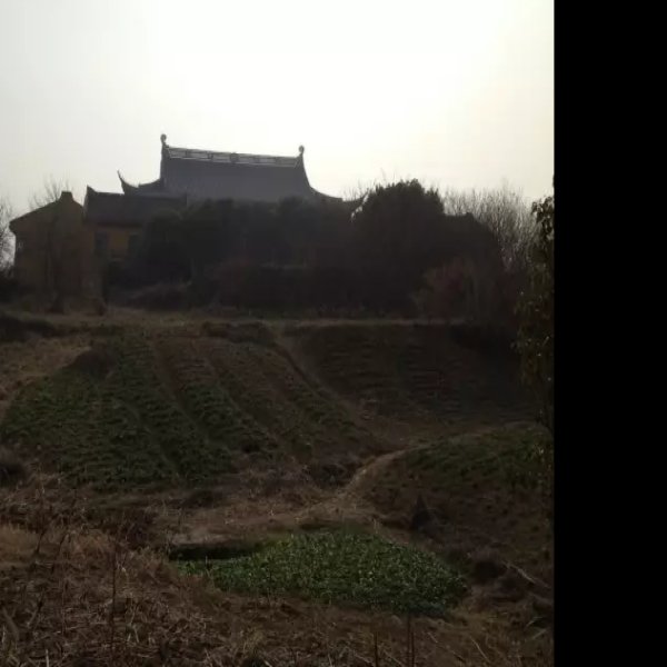 寺墩遗址 - 图片7