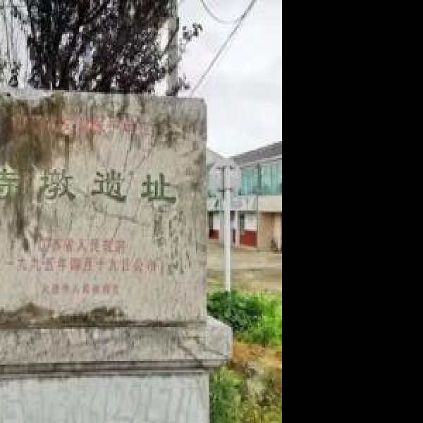 寺墩遗址 - 图片8