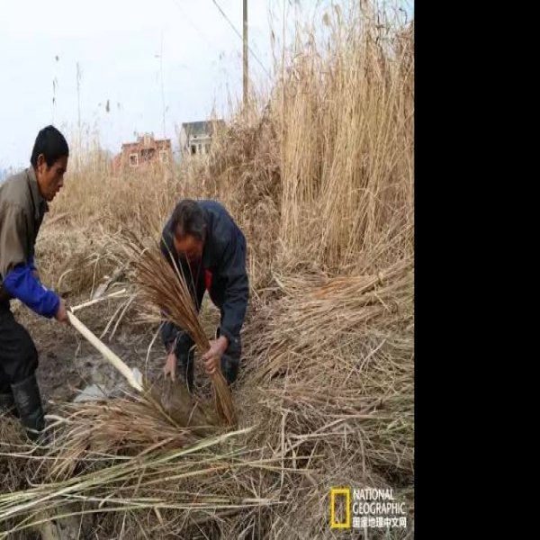 鲤鱼山—老虎岭水坝遗址 - 图片8