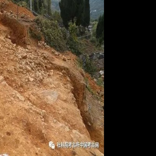 坦头窑遗址 - 图片7