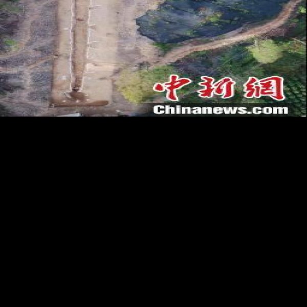 沙埠窑遗址 - 图片5