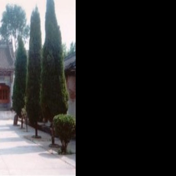 杉龙岗遗址 - 图片8