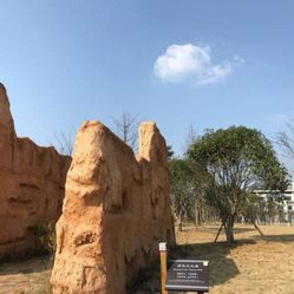 炭河里遗址 - 图片9