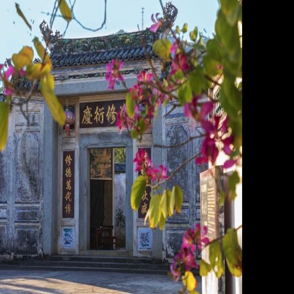 大埔肇庆堂 - 图片1