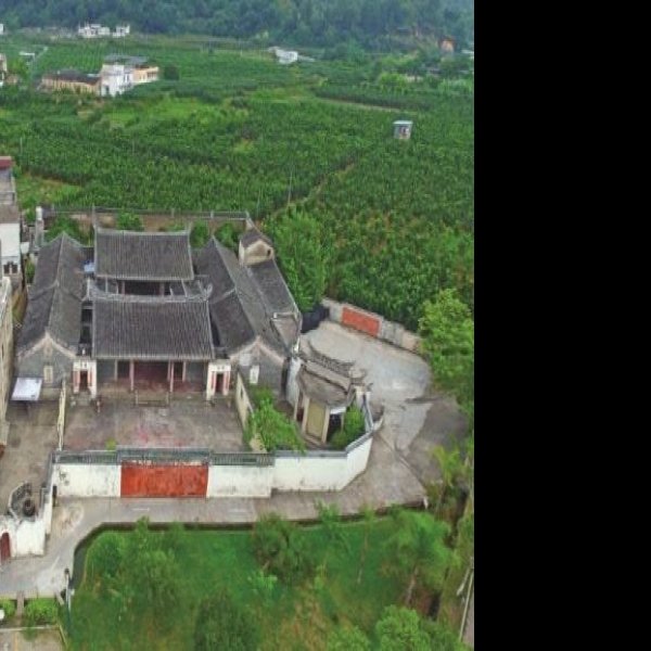 大埔肇庆堂 - 图片8