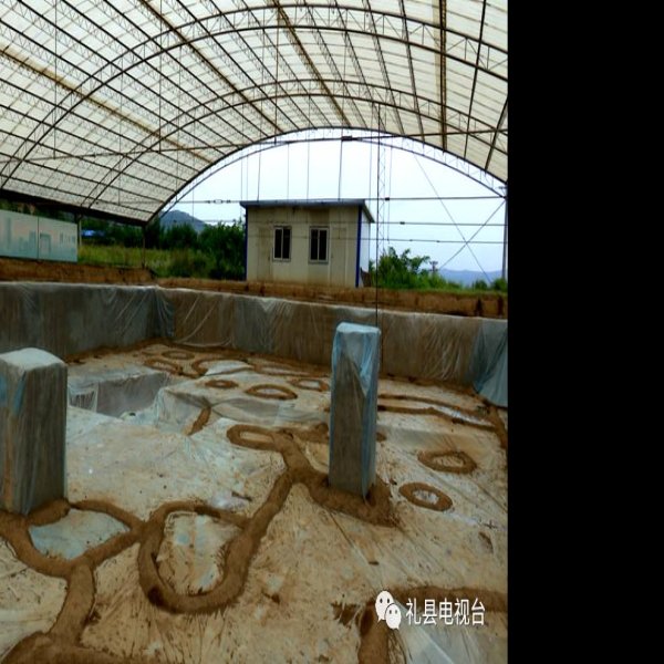 大堡子山遗址及墓群 - 图片9
