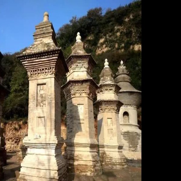 栖岩寺塔林 - 图片1