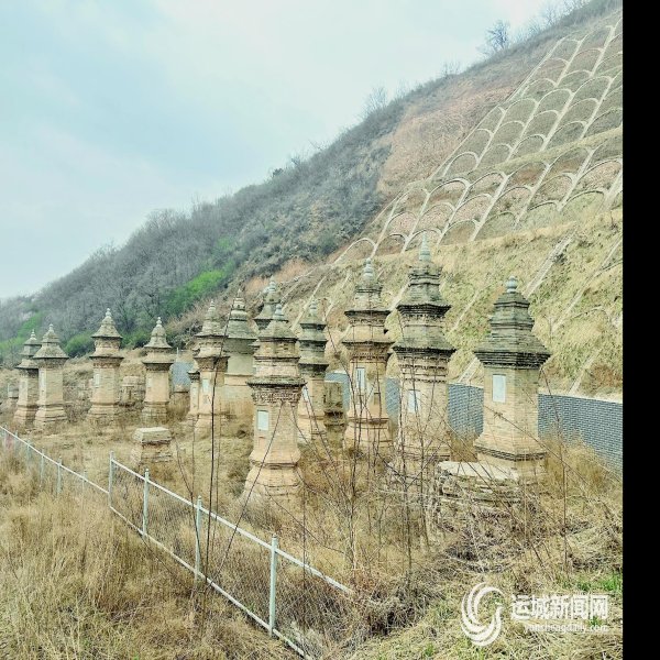 栖岩寺塔林 - 图片2