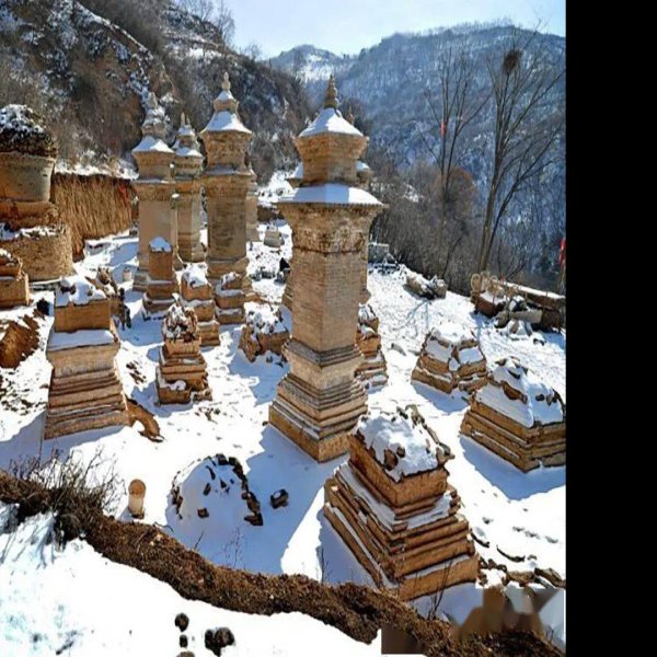 栖岩寺塔林 - 图片4