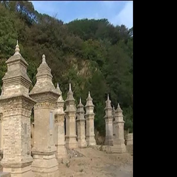 栖岩寺塔林 - 图片6