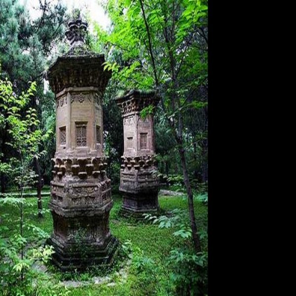 栖岩寺塔林 - 图片7