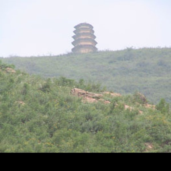 栖岩寺塔林 - 图片9