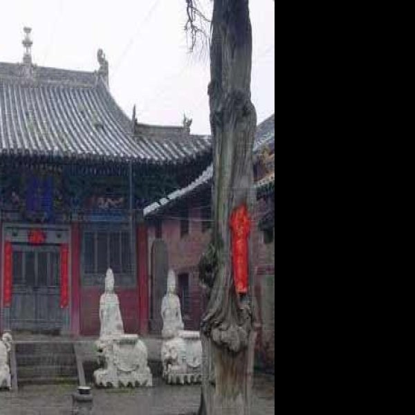 泽州崇寿寺 - 图片1
